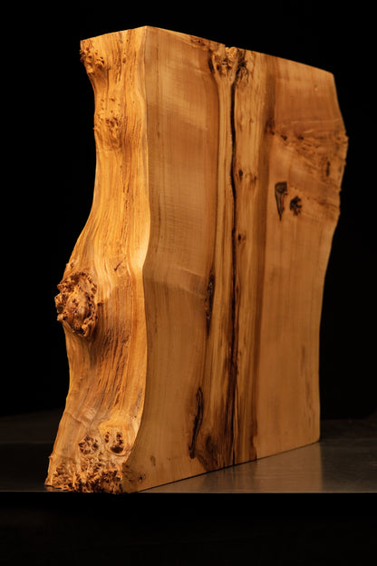 Comprehensive side elevation of a climate-stable structural timber element exposing straight rear grain and a deeply sculpted face.   