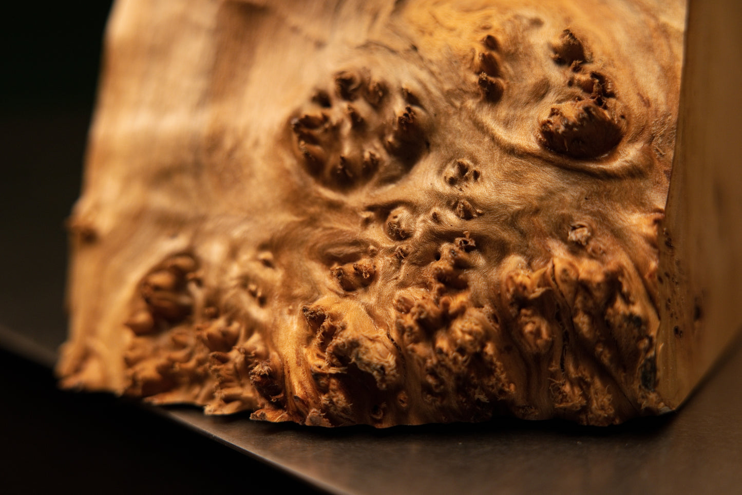 Extreme magnification of the bottom edge on an architectural botanical wood slab showcasing dense chaotic burl clusters and true hues.   