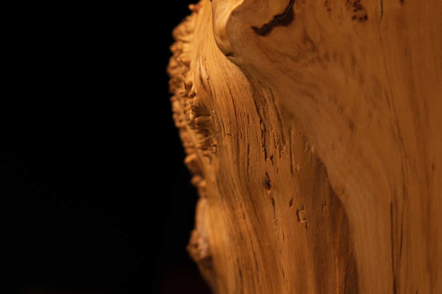 Macro photography featuring pristine vertical grain lines on the smooth lateral side of a museum-grade biophilic wood centerpiece.   