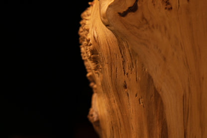 Macro photography featuring pristine vertical grain lines on the smooth lateral side of a museum-grade biophilic wood centerpiece.   