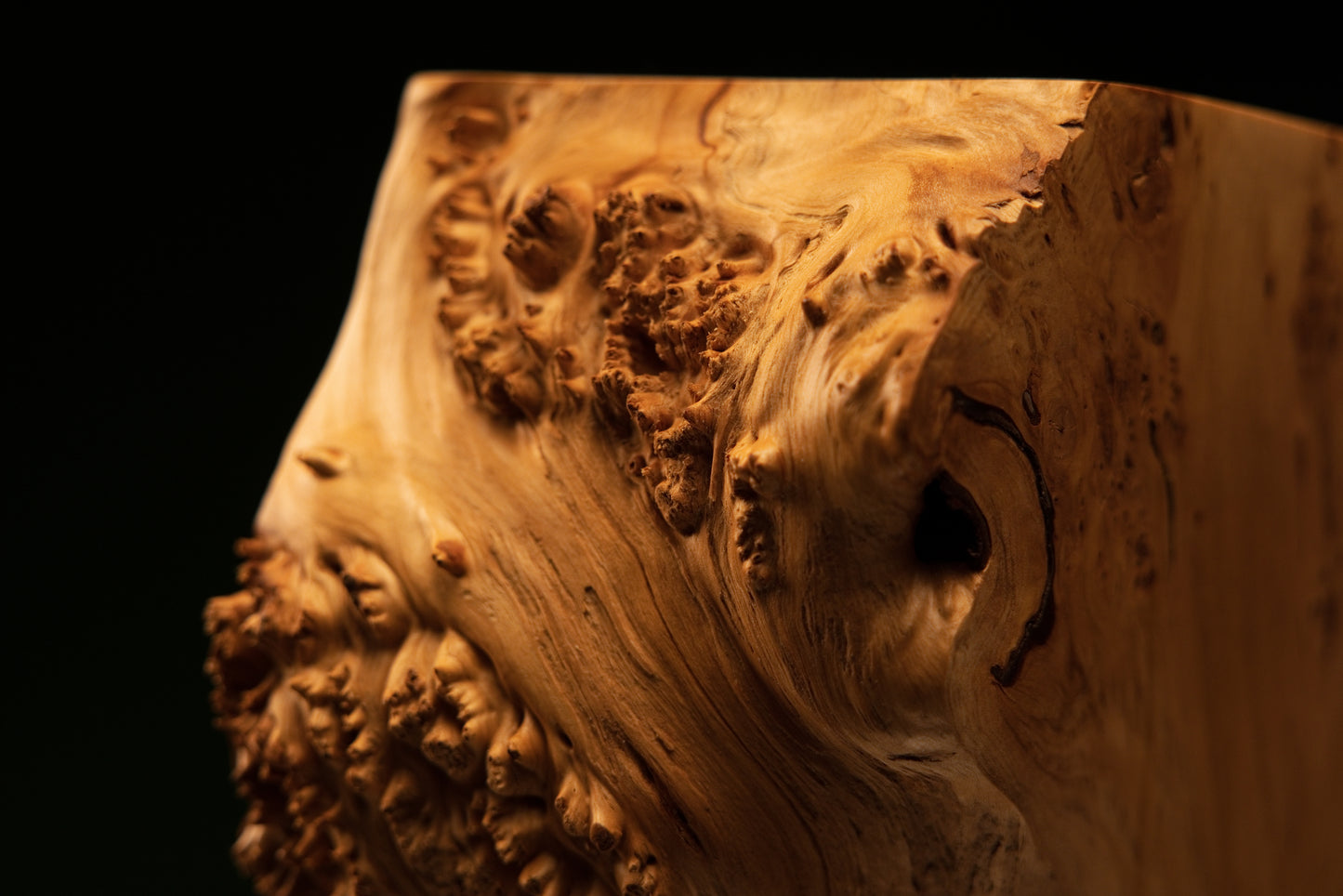 Close perspective illustrating the distinct visual shift between tight vertical golden grain and heavily textured organic burl blocks.   
