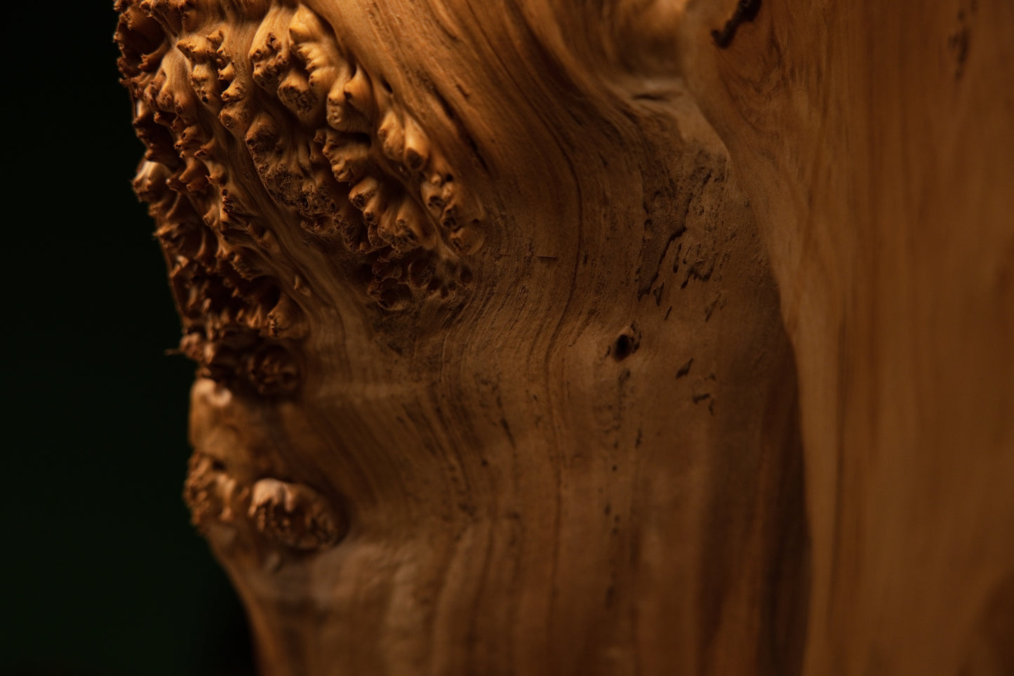 Extreme macro capture displaying dense biological burl eyes and sweeping grain lines across an investment-grade wood sculpture.   