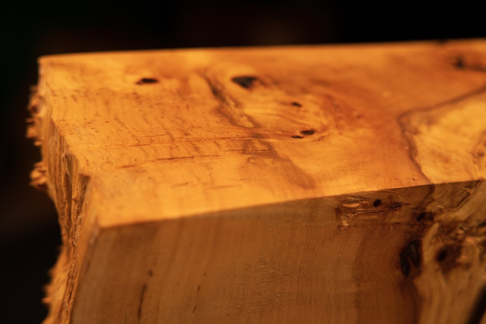 Macro detail documenting how the upper flat horizontal plane evolves into a heavily textured botanical burl edge on a museum-quality slab.   