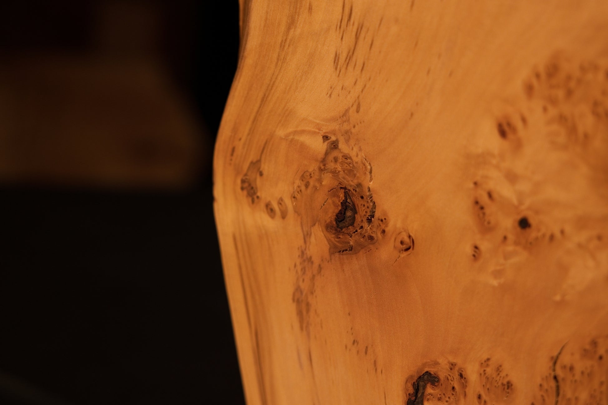Macro focus targeting a distinct dark burl eye embedded directly within the smooth polished surface of an investment-grade wood panel.   