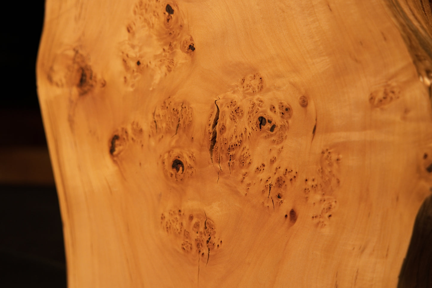 Extreme macro study showing scattered dark organic burl eyes and sweeping golden grain on a fully stabilized structural wooden element.   