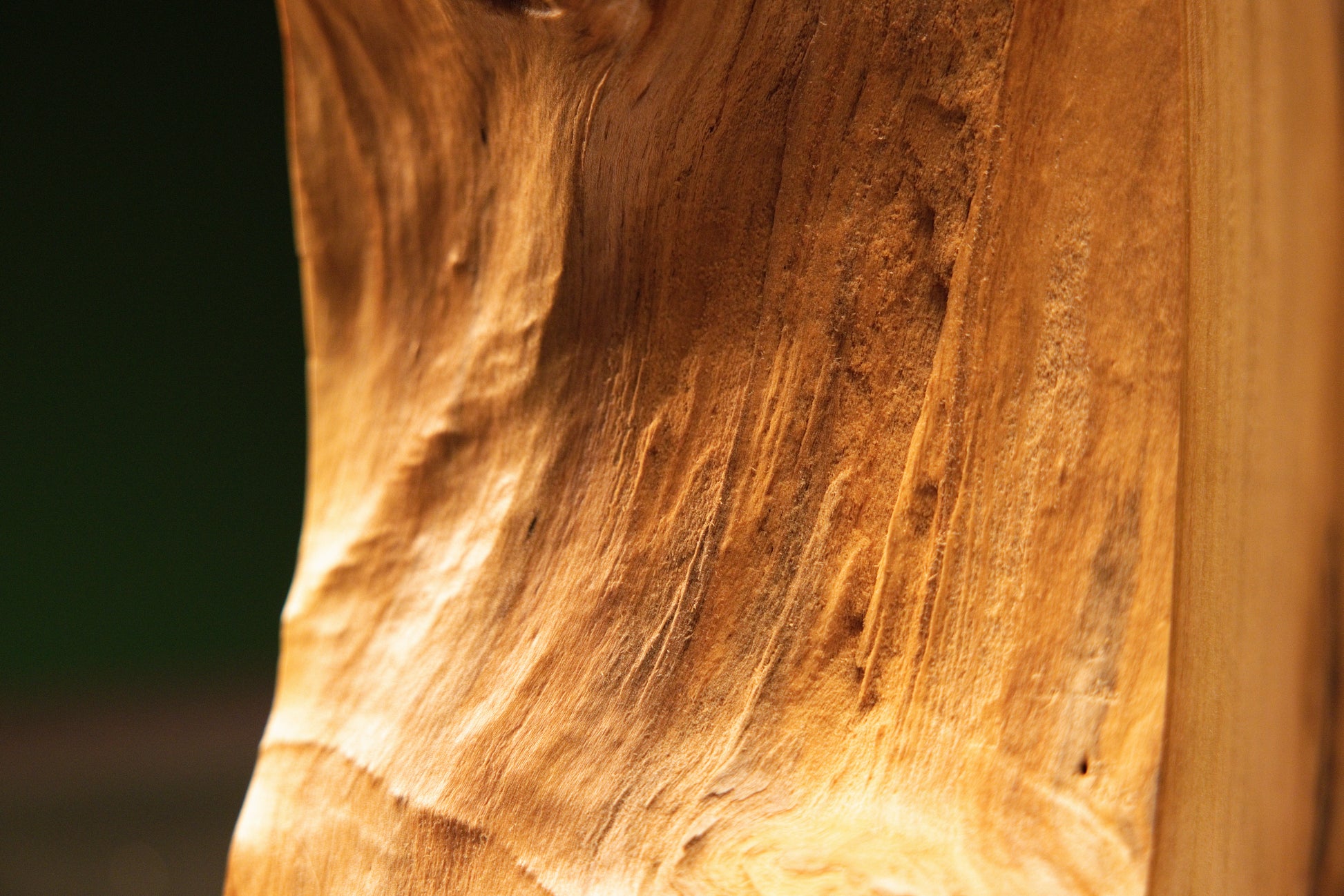 Macro photography capturing sweeping golden vertical grain as it transitions smoothly into a rough botanical edge on a timber block.   