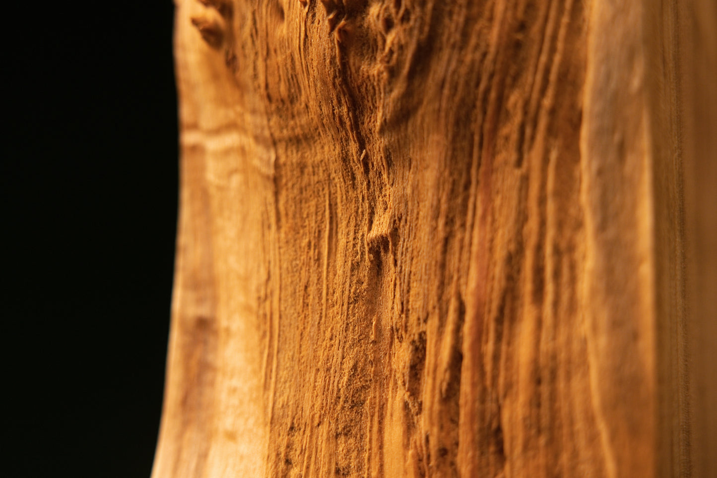 Close-up framing the highly textured botanical side flank of an investment-grade architectural wood piece showing true patina.   