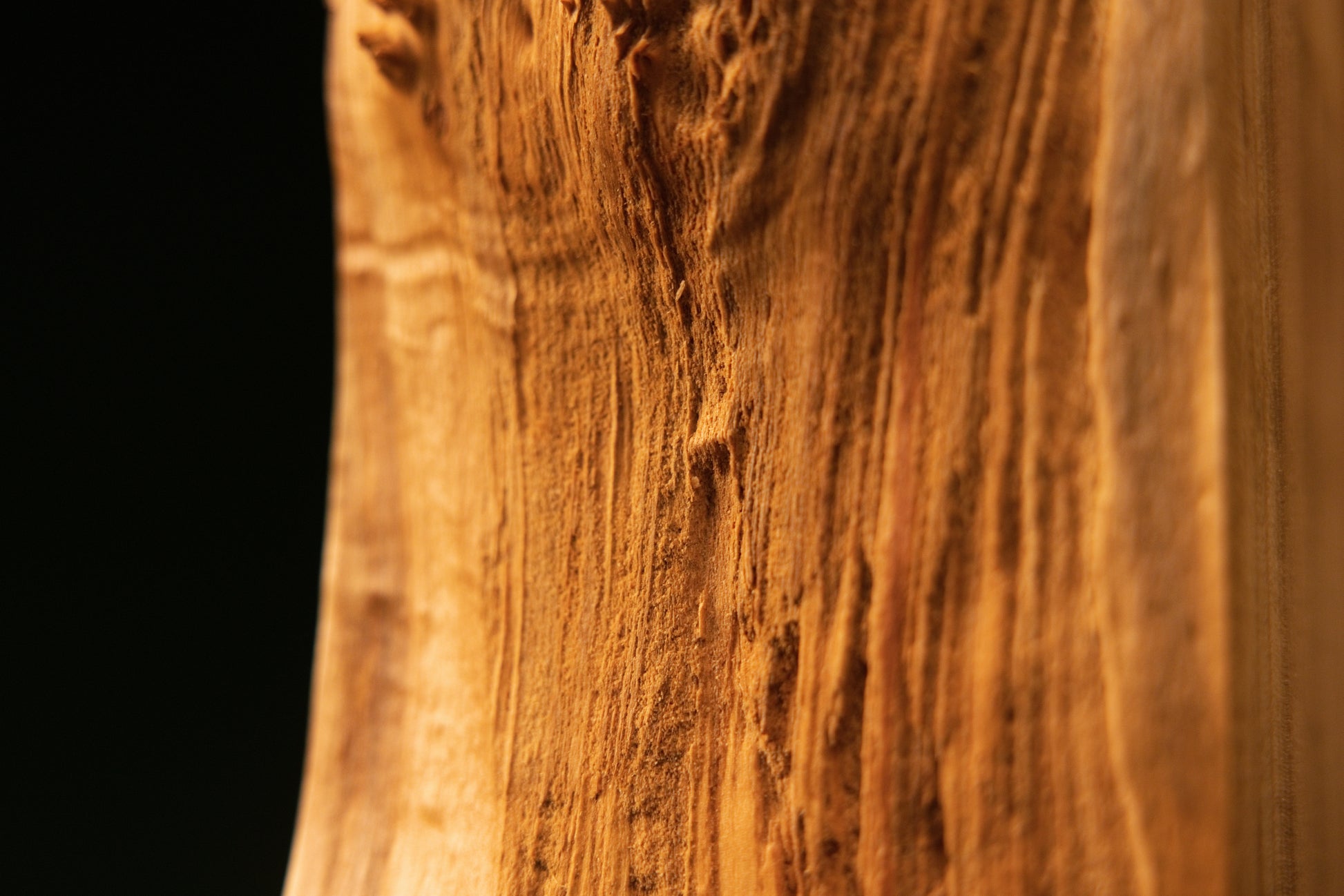 Close-up framing the highly textured botanical side flank of an investment-grade architectural wood piece showing true patina.   