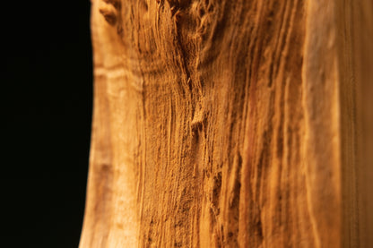 Close-up framing the highly textured botanical side flank of an investment-grade architectural wood piece showing true patina.   