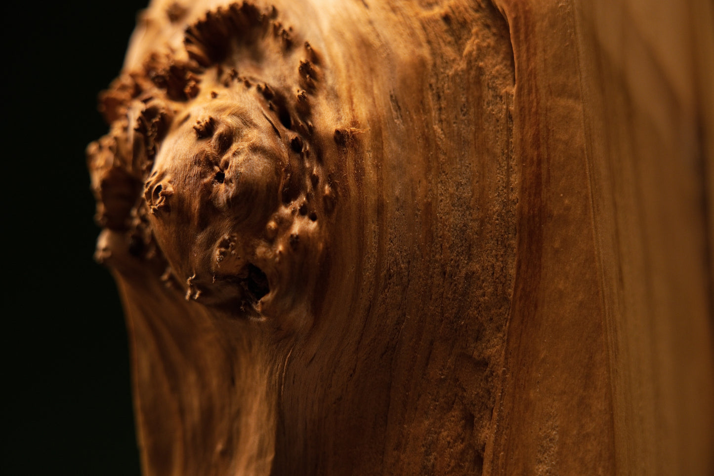 Extreme close-up displaying a prominent protruding burl knot on a Relic-Grade wood sculpture demonstrating absolute stability.   