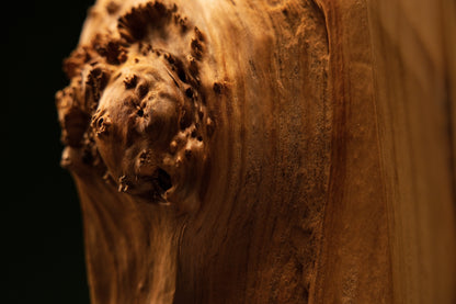 Extreme close-up displaying a prominent protruding burl knot on a Relic-Grade wood sculpture demonstrating absolute stability.   