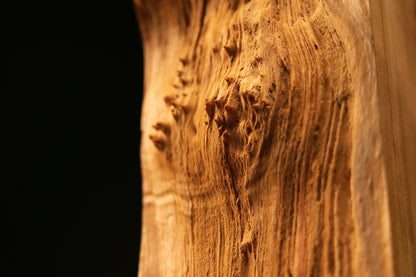 Macro study highlighting a dense burl cluster projecting sharply from the edge of a museum-grade biophilic interior centerpiece.   