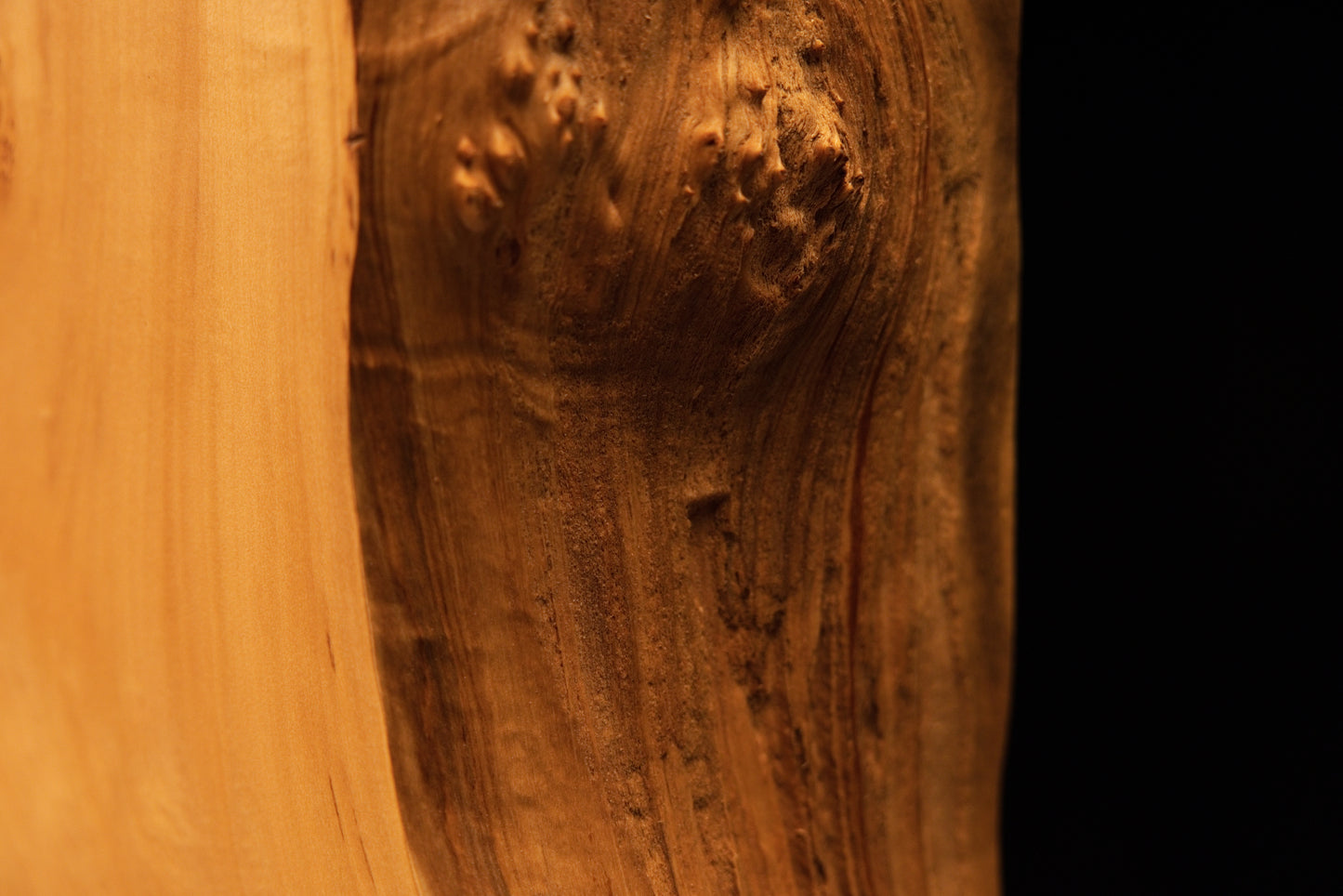 Close-up perspective of a large central burl formation featuring dark biological inclusions on a perfectly stabilized timber slab.   