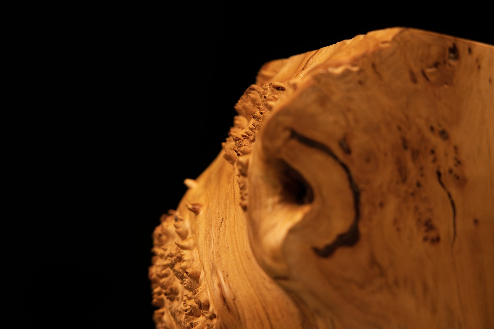 Upper corner view emphasizing dense botanical burl textures alongside a clean precision cut on a climate-stable timber element.   
