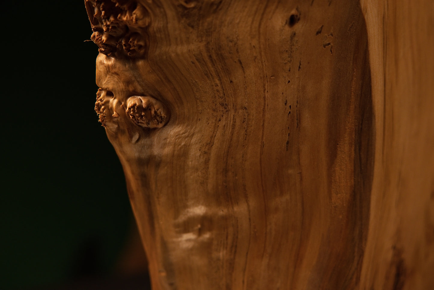 Detailed macro capture of a heavy lower burl protrusion showcasing intricate organic geometry on a robust epoxy-free monolith.   