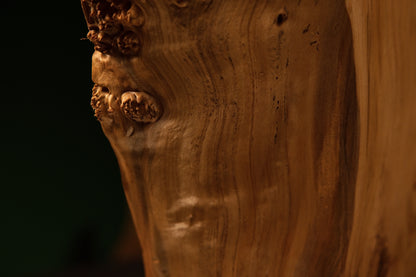 Detailed macro capture of a heavy lower burl protrusion showcasing intricate organic geometry on a robust epoxy-free monolith.   