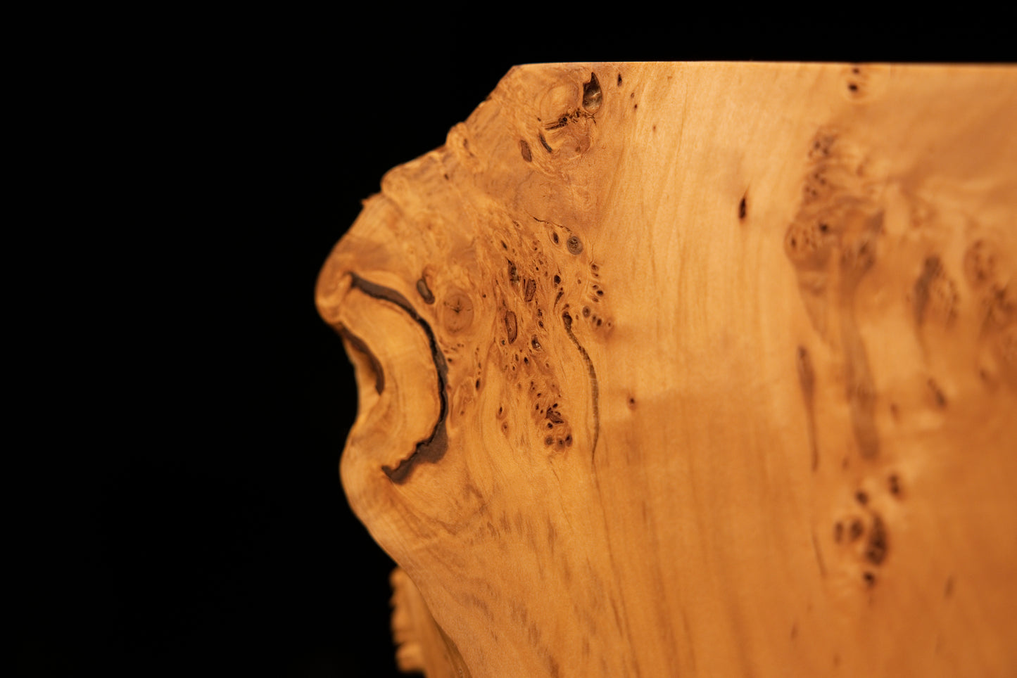 Macro focus tracking the upper lateral profile of a luxury investment-grade wood piece revealing dense burl eyes and golden grain.   