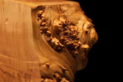 Macro detail concentrating on dense organic burl textures alongside dark biological eyes inside an advanced resin-free wooden element.   