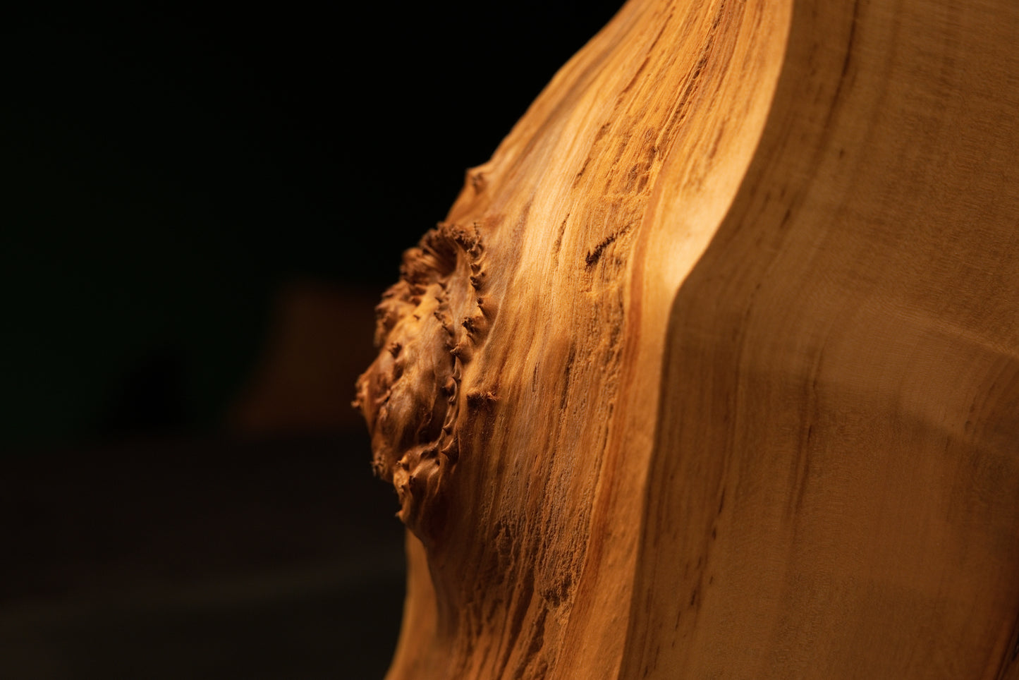 Lateral profile view of a raised organic knot gently interrupting the smooth golden grain flow on a gallery-grade art installation.   