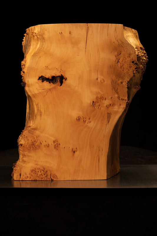 Front view of a massive biophilic wood block displaying a smooth golden face, a dark central void, and textured botanical edges.   