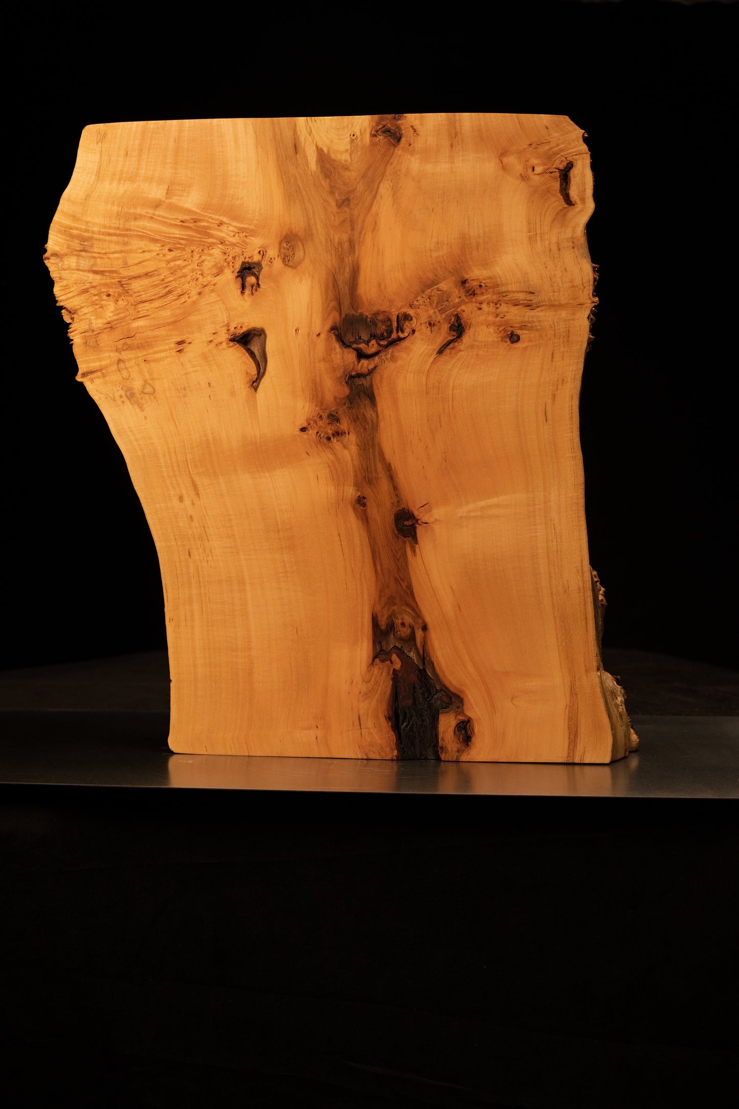 Frontal view of a smooth biophilic architectural centerpiece featuring rich golden wood chatoyancy and dark natural inclusions.   
