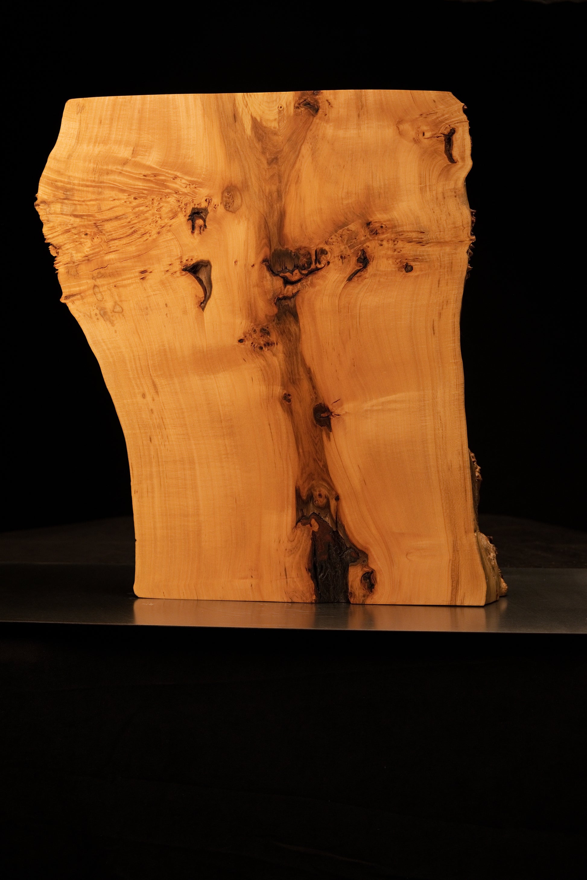 Frontal view of a smooth biophilic architectural centerpiece featuring rich golden wood chatoyancy and dark natural inclusions.   