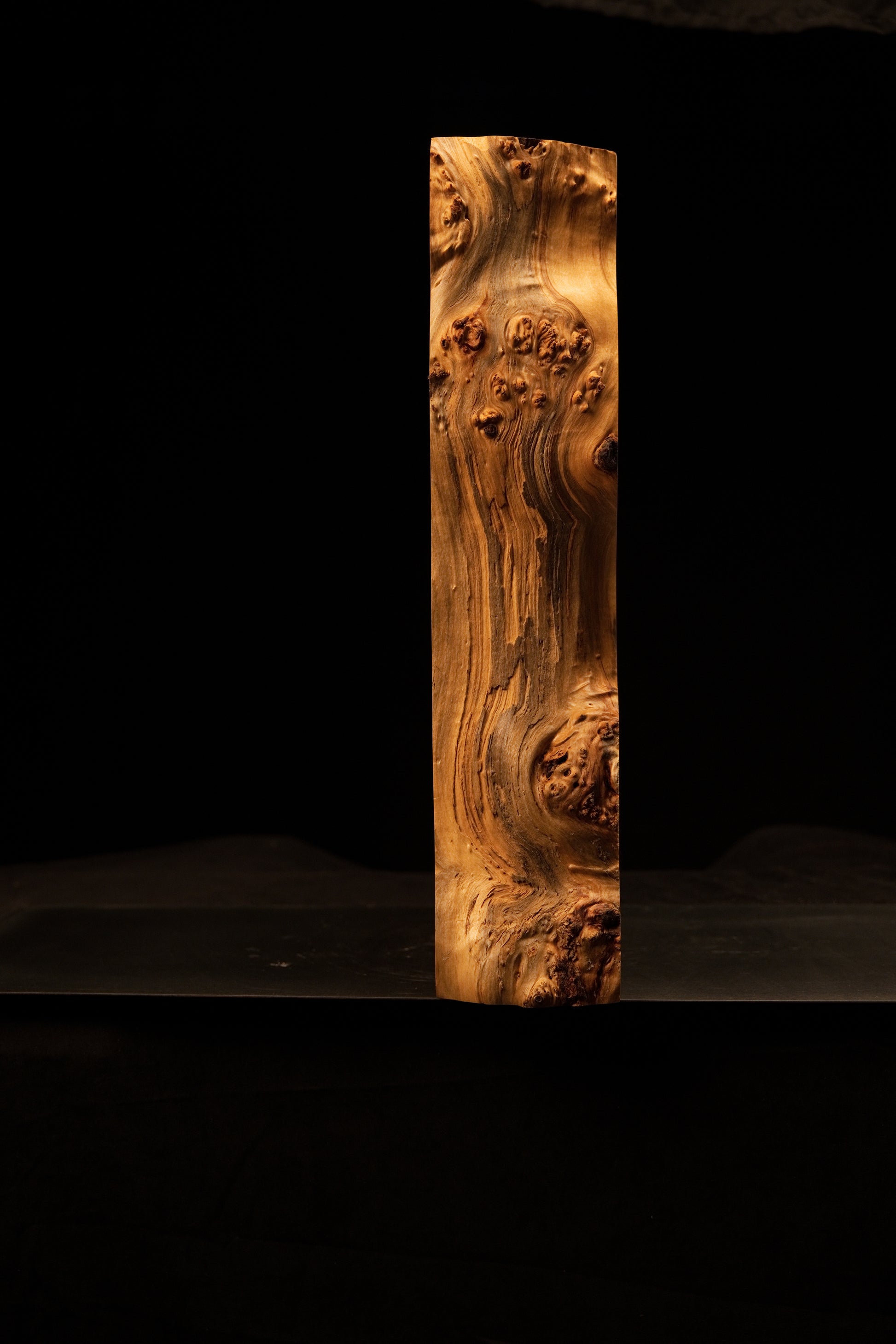 Full profile of the highly textured botanical burl edge on a structural timber slab demonstrating absolute dimensional stability.   