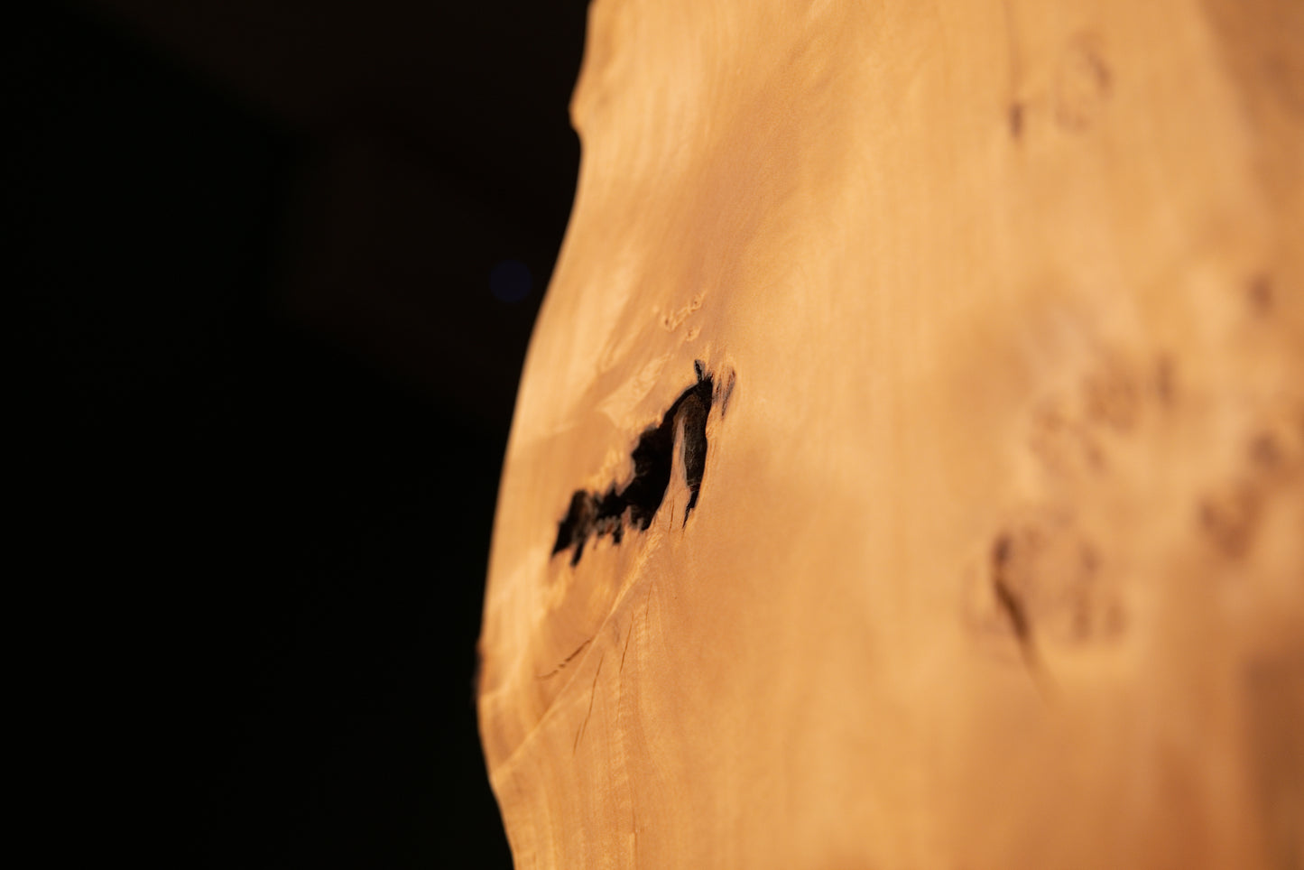 Close focus on a dark horizontal joinery void surrounded by sweeping botanical grain lines within a fully stabilized wood slab.   