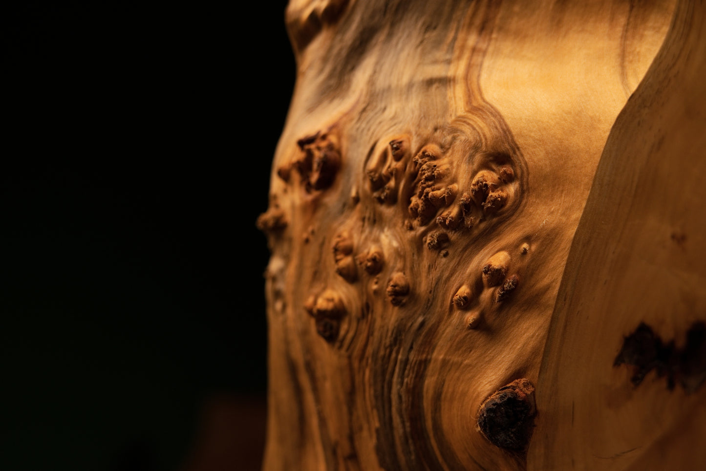 Close detail showing flowing vertical grain lines wrapping around dense organic burl clusters on a structural architectural piece.   