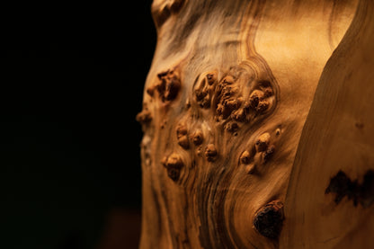 Close detail showing flowing vertical grain lines wrapping around dense organic burl clusters on a structural architectural piece.   