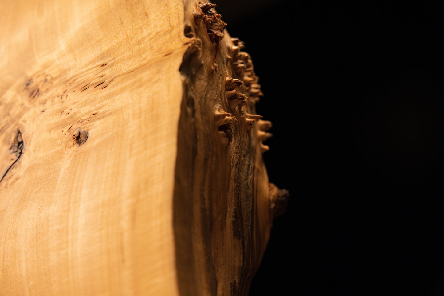 Macro profile of the rough botanical edge showcasing deep organic geometry and authentic biological patina on a thick wood slab.   