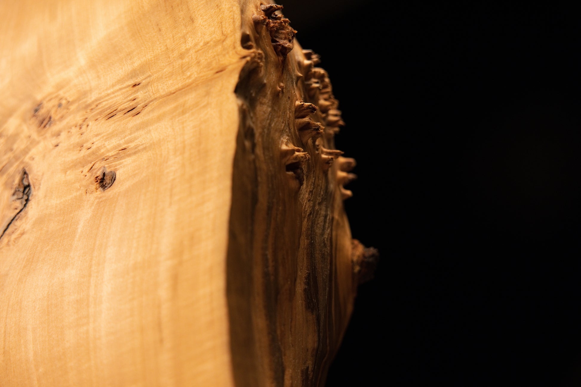 Macro profile of the rough botanical edge showcasing deep organic geometry and authentic biological patina on a thick wood slab.   