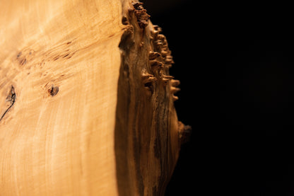 Macro profile of the rough botanical edge showcasing deep organic geometry and authentic biological patina on a thick wood slab.   