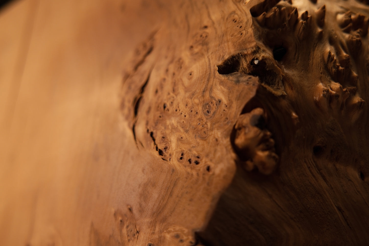 Detailed focus on a large organic void surrounded by tiny dark burl eyes within a perfectly stabilized structural timber piece.   