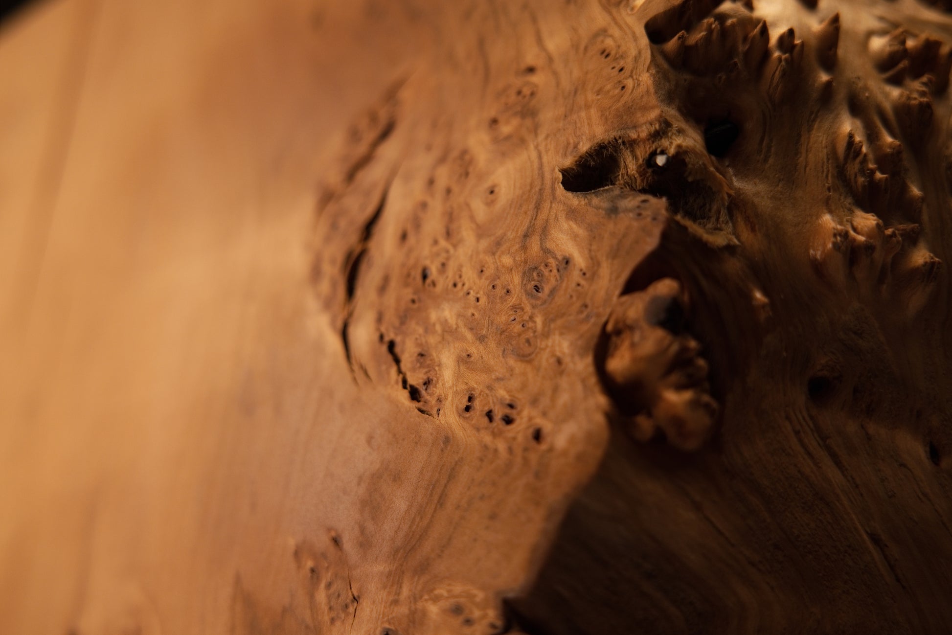 Detailed focus on a large organic void surrounded by tiny dark burl eyes within a perfectly stabilized structural timber piece.   