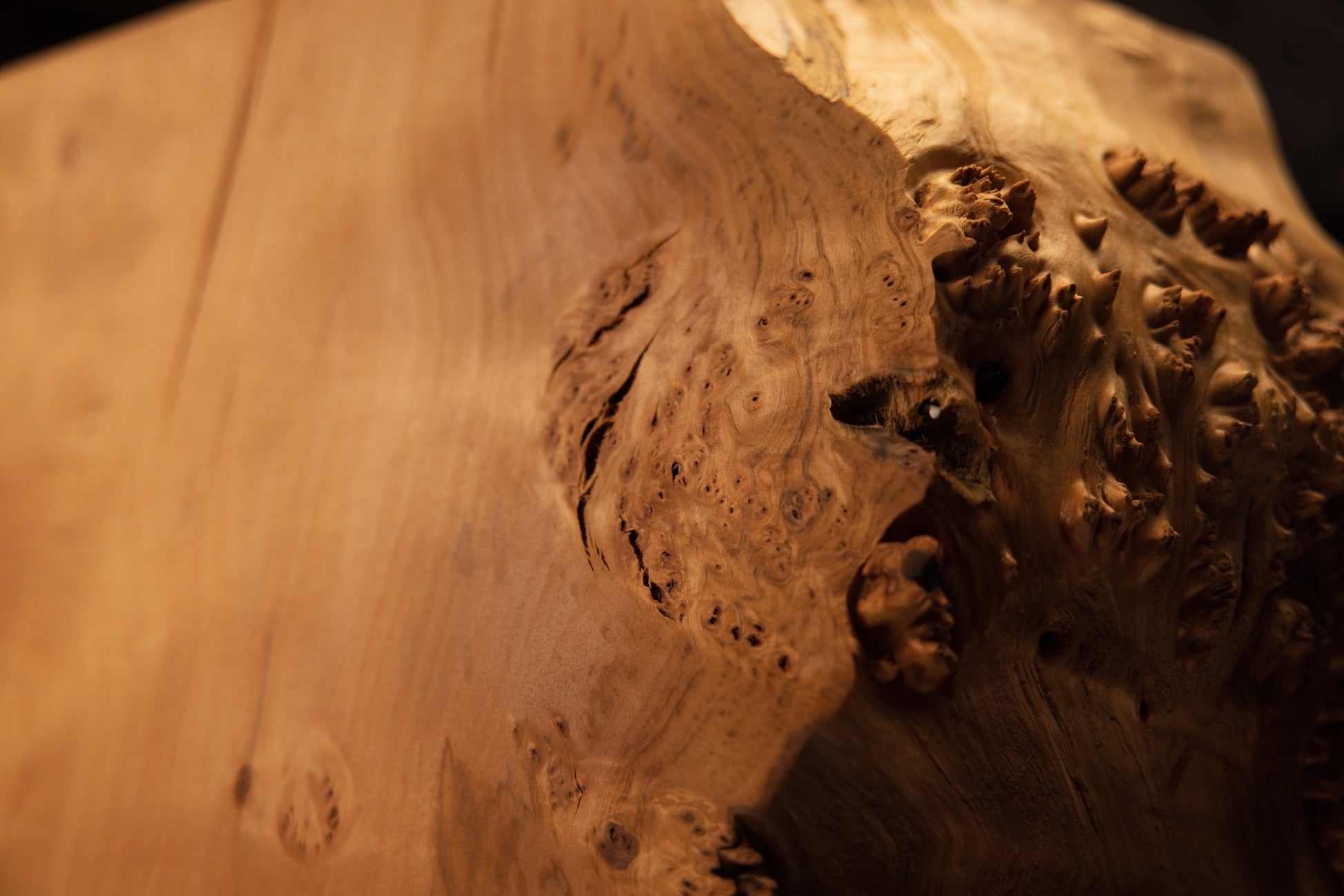 Close perspective of the sharp transition between sweeping golden wood grain and a heavily textured botanical cavity edge profile.   