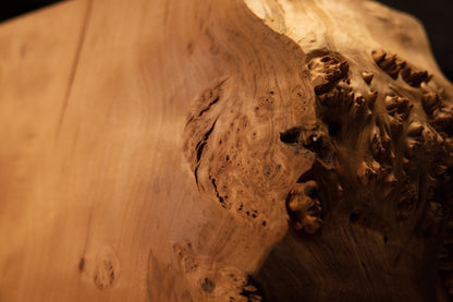 Close perspective of the sharp transition between sweeping golden wood grain and a heavily textured botanical cavity edge profile.   