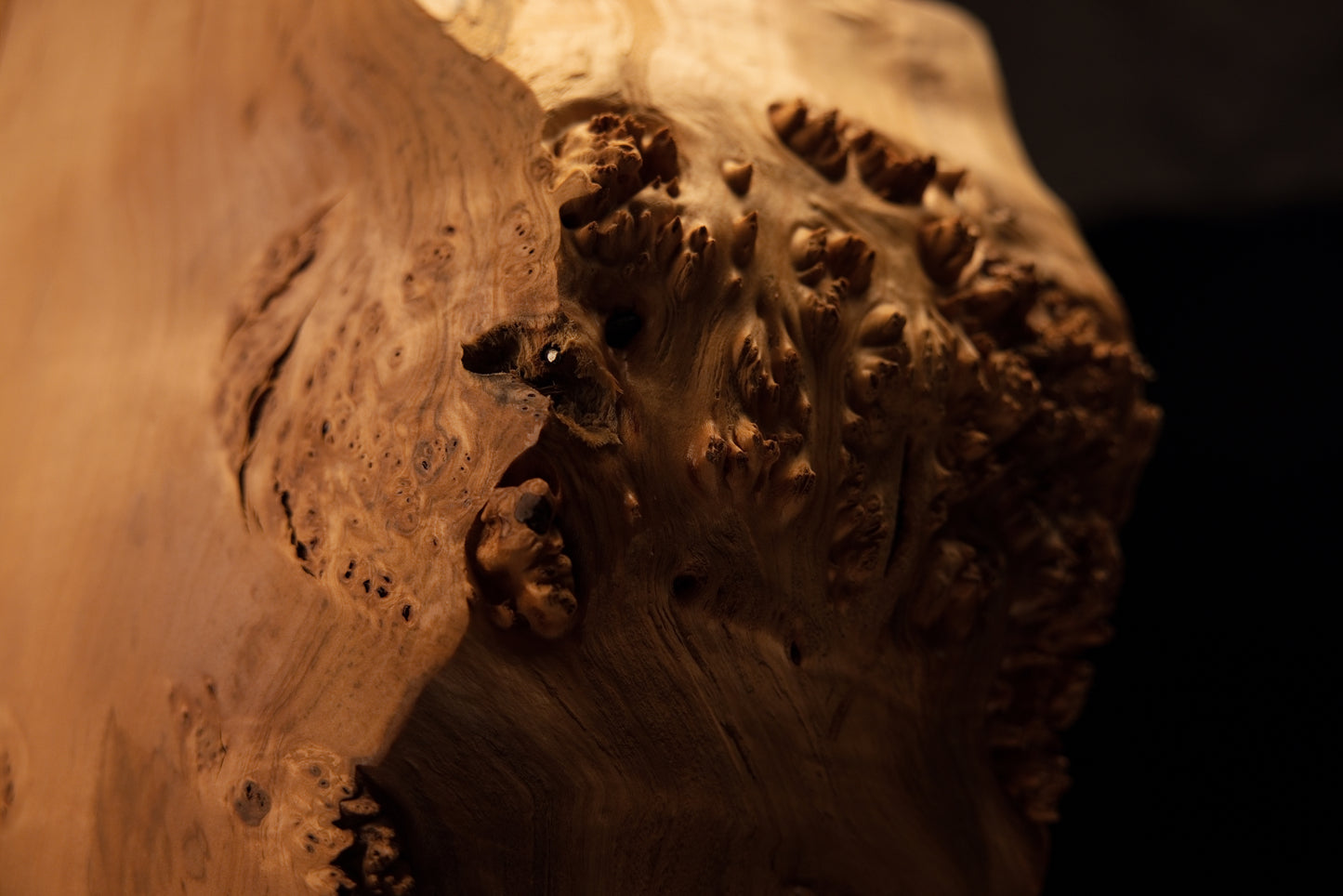 Upper corner view of a biophilic commercial centerpiece highlighting raw botanical textures and absolute dimensional stability.   