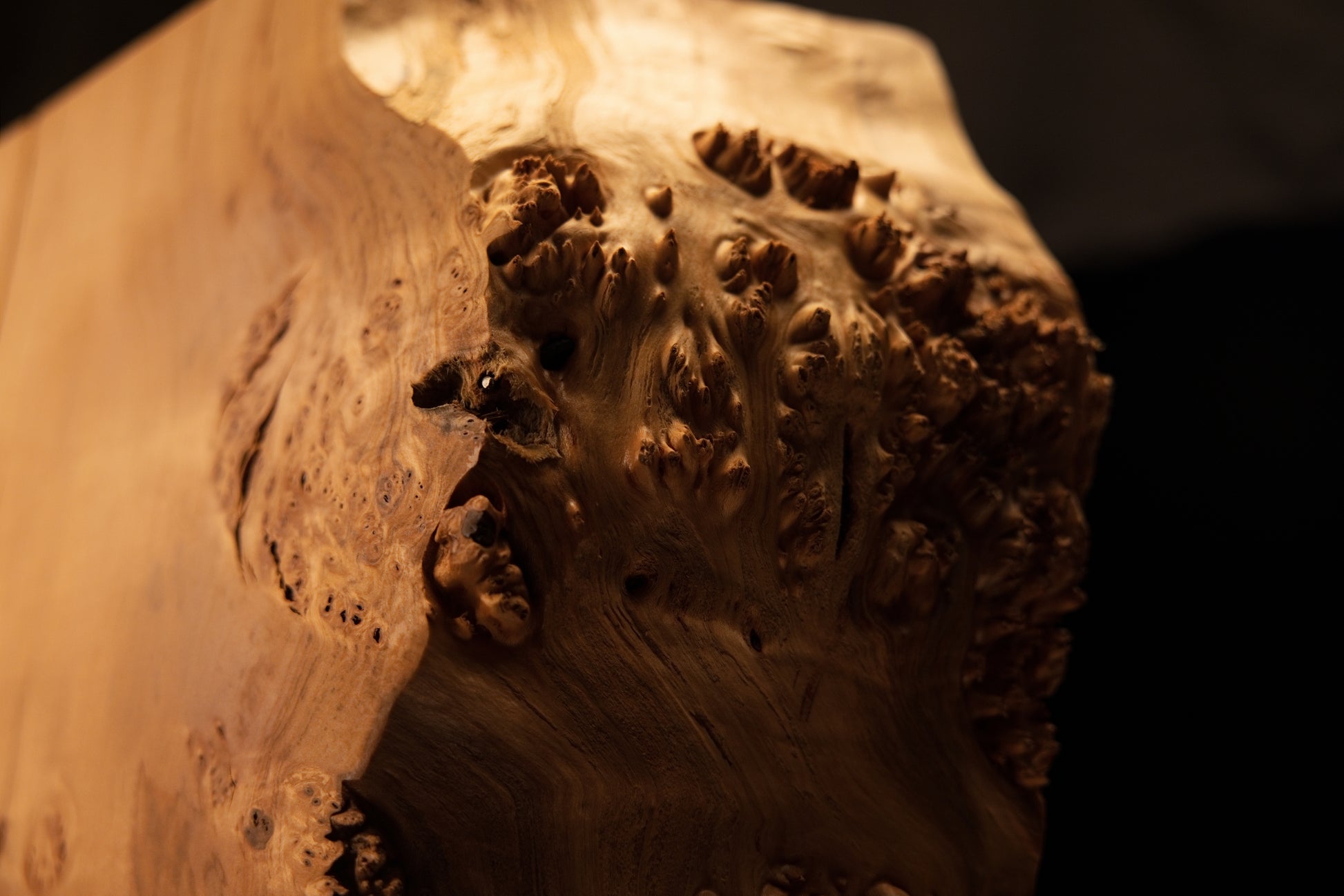 Extreme close-up of dense natural burl eyes clustered near the upper edge of a climate-stable architectural wood installation.   