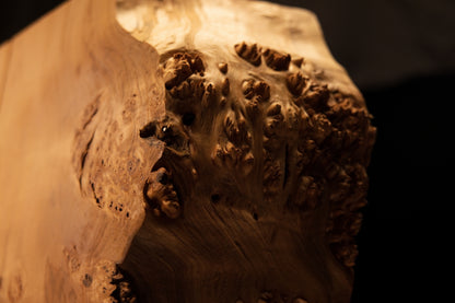 Extreme close-up of dense natural burl eyes clustered near the upper edge of a climate-stable architectural wood installation.   