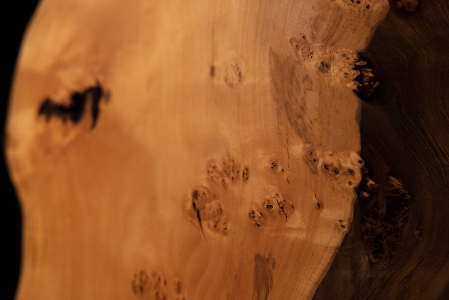 Close focus on scattered dark biological burl eyes embedded across the highly polished flat face of a historic wood structure.   