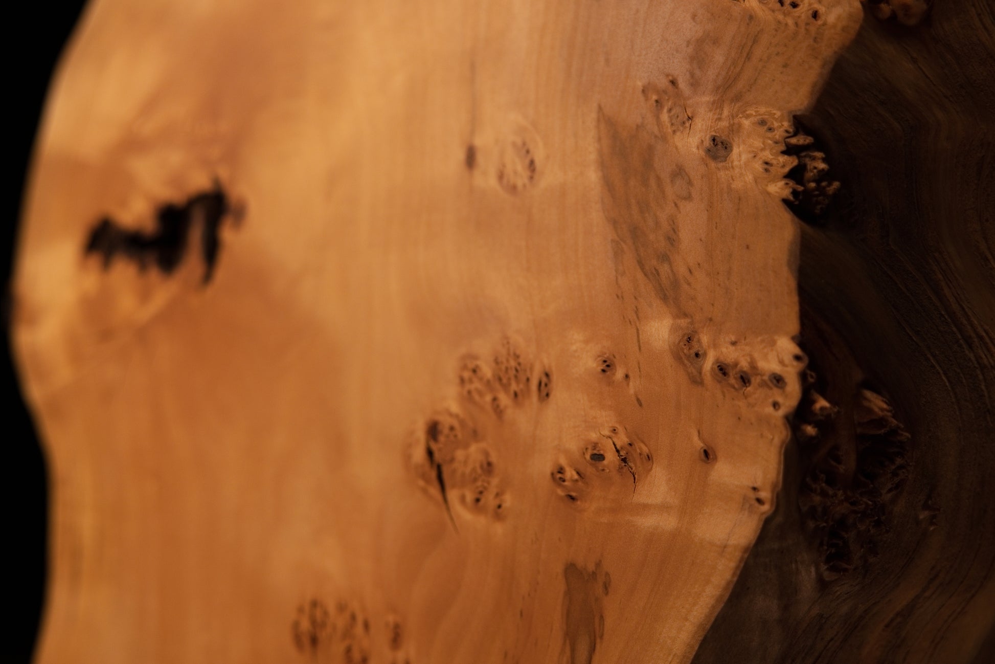 Close focus on scattered dark biological burl eyes embedded across the highly polished flat face of a historic wood structure.   