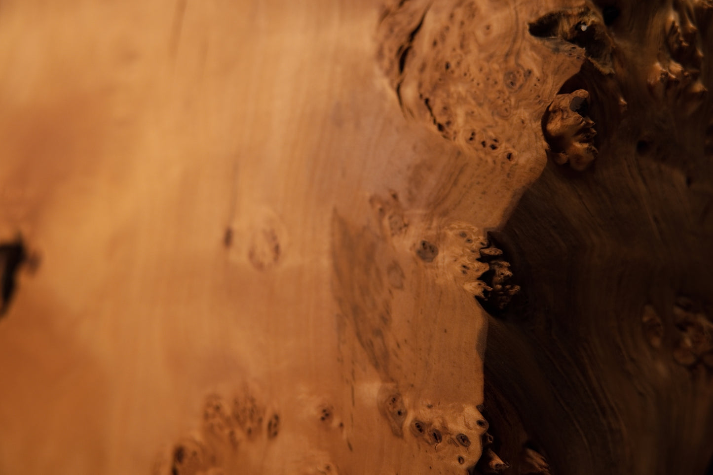 Macro detail highlighting the crisp transition from a precision flat cut face to a chaotic organic burl edge on a wooden block.   