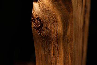 Close-up of a small organic burl cluster interrupting the pristine vertical grain of a fully stabilized botanical centerpiece.   