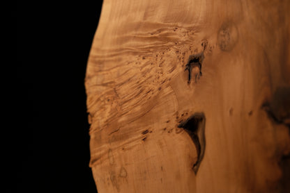 Macro perspective highlighting the sharp transition from a smooth flat cut to a deeply textured botanical cavity on a timber slab.   