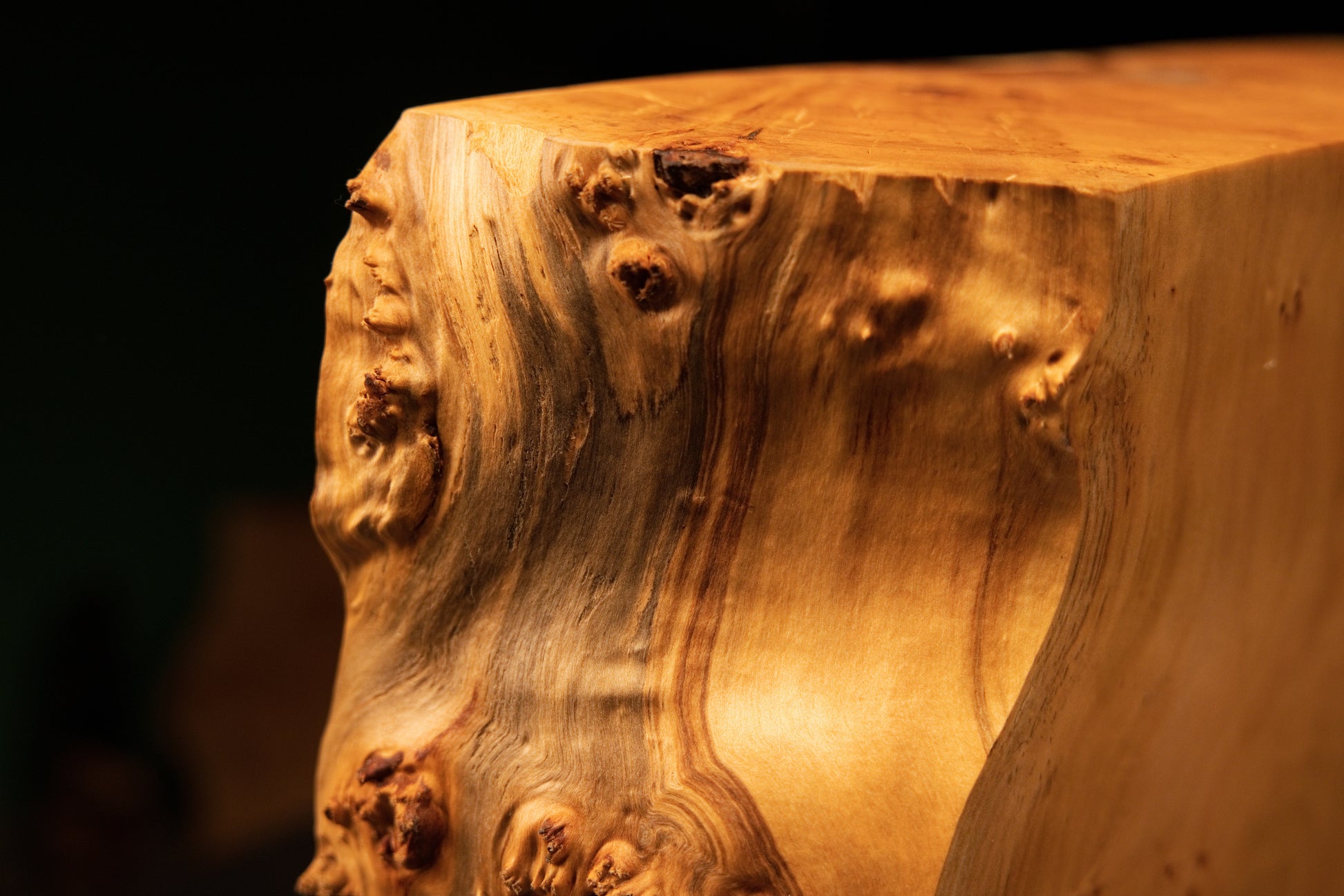 Top corner profile of a museum-grade biophilic wood element highlighting authentic burl eyes near a flawless architectural cut.   