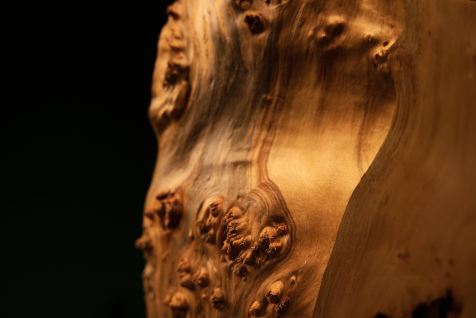 Detailed view of highly textured chaotic burl knots and deep organic cavities on the edge of a fully stabilized structural timber.   