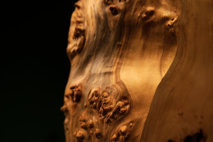 Detailed view of highly textured chaotic burl knots and deep organic cavities on the edge of a fully stabilized structural timber.   
