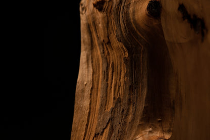 Close focus on a sharp corner edge demonstrating the contrast between tight vertical grain and a rugged botanical cavity profile.   