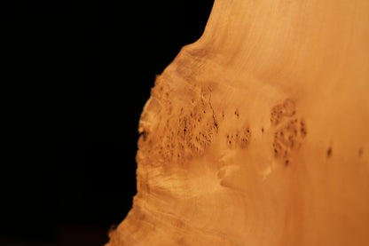 Macro detail of scattered dark organic burl eyes embedded across the smooth golden face of a perfectly preserved wood centerpiece.   
